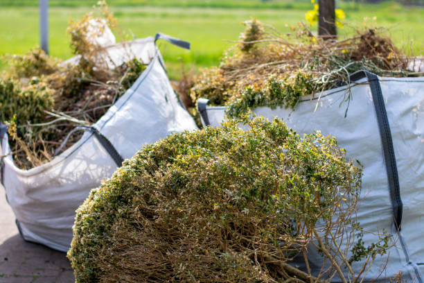 Trash Removal Near Me in Williamston, NC