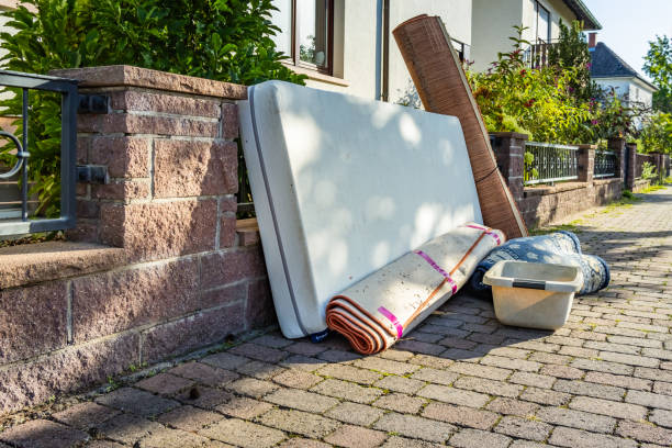 Best Office Junk Removal  in Williamston, NC